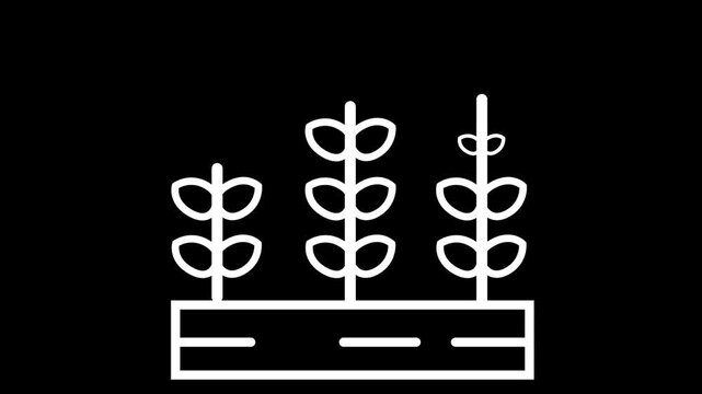 Animated line art illustration depicting sequential plant growth stages and crops developing in soil on a black background.
