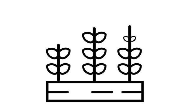 Animated line art illustration showing sequential plant growth stages and crops developing in soil on a white background.