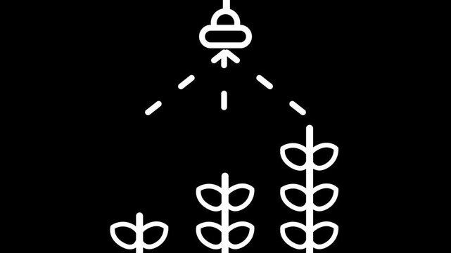 Animated line icon of smart plant growth with artificial light and automatic irrigation system on a black background.