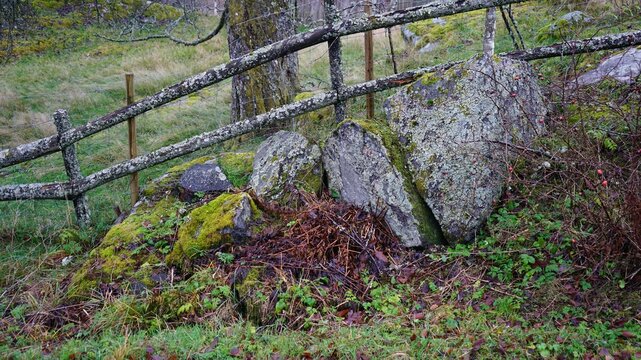 Mossy boulders near a rust fence.