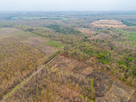 High altitude aerial drone view of a dry teak forest plantation and a scorched field in East Java Indonesia