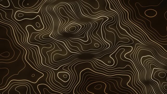 Morphing Topographic Contour Lines Glowing Elevation Map Abstract Motion Background Seamless Loop in deep brown tones