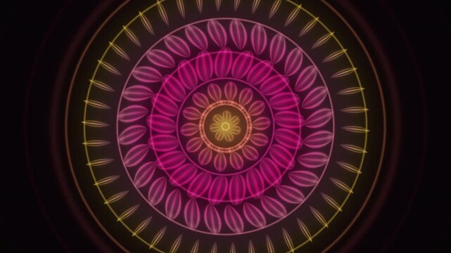 Flower mandala blooming petals radial symmetry glowing floral ornament background seamless loop in rich rose tones