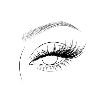 Elegant eye illustration with long eyelashes and arched eyebrows  