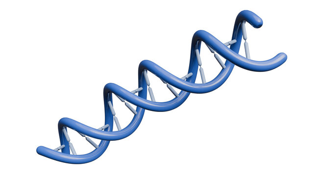 3D Render of a blue DNA double helix structure on a white background.