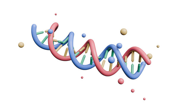 3D Render of a colorful DNA double helix model with connecting base pairs on a white background.