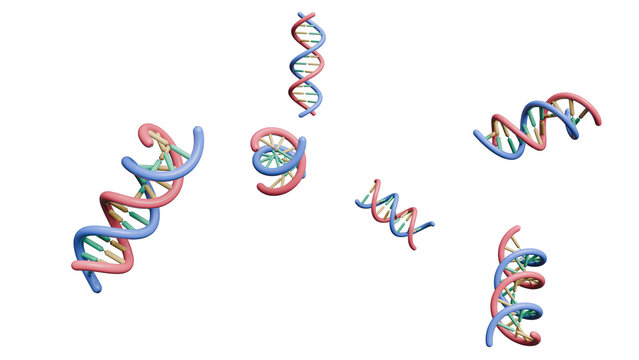 3D Render of colorful DNA molecules floating against a white background
