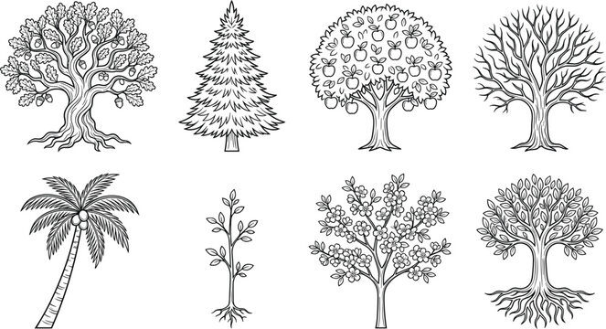 Hand Drawn Tree Collection with Oak, Pine, Apple, Bare, Palm, Sapling, Flowering and Decorative Botanical Trees