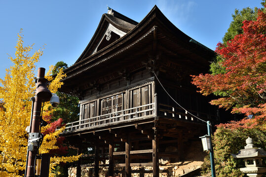 世界遺産　醍醐寺　上醍醐　秋色に包まれる如意輪堂(京都市伏見区)