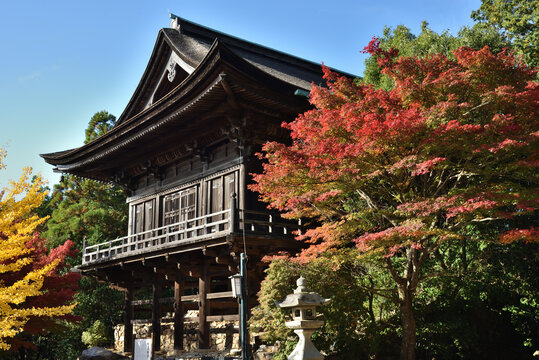 世界遺産　醍醐寺　上醍醐　秋色に包まれる如意輪堂(京都市伏見区)