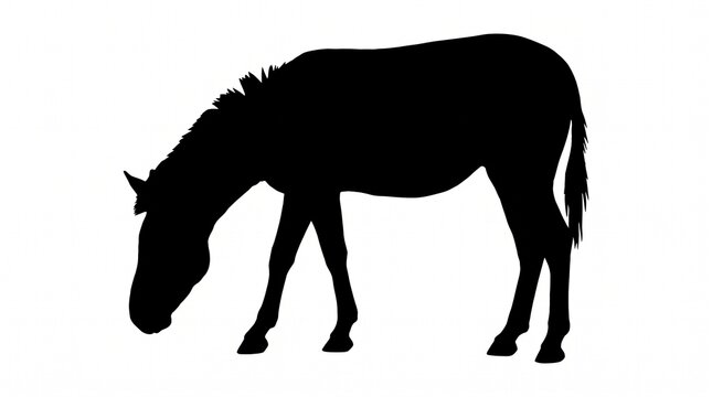 Black silhouette of a donkey grazing on white background with farm animal