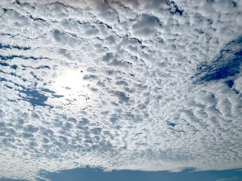 うろこ雲（ひつじ雲）が広がる空