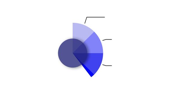 Infographic template animation. Circle process with 4 step. Illustration isolated on white background. Motion graphic 