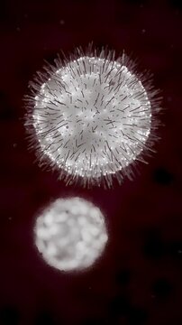 T Cell Immune Response and Cellular Interaction Animation