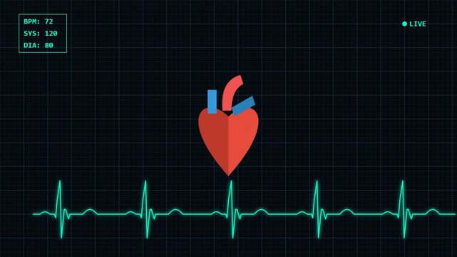 Heartbeat ECG Animation Healthy Heart Rhythm on Medical Monitor Screen
