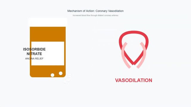 Isosorbide Nitrate Vasodilation Mechanism Animation Medical Science Healthcare