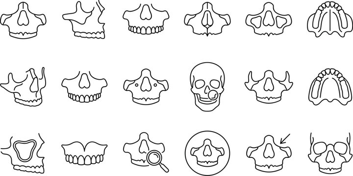 Maxilla Line Icon Set with Human Jaw Bone and Facial Anatomy SymbolsMaxilla Line Icon Set with Human Jaw Bone and Facial Anatomy Symbols