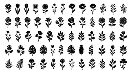 Obraz premium Floral Illustrations Set with Diverse Flower and Leaf Shapes. Botanical Design Elements