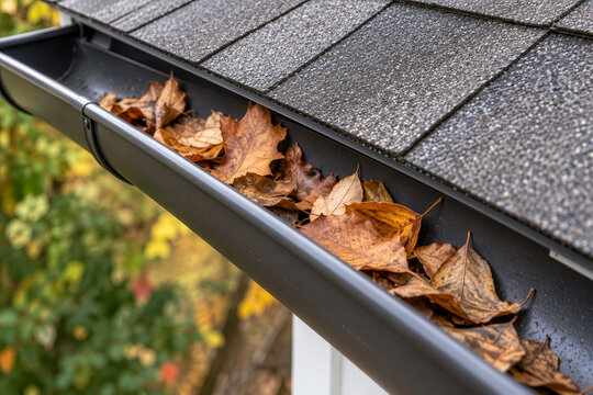 Dried autumn leaves inside a roof gutter