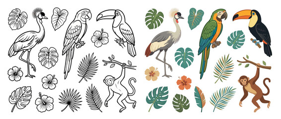 Fototapeta premium Tropical Jungle Animals and Plants Collection, Isolated