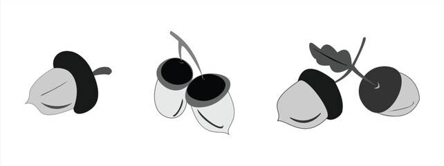 Vector sketch of autumn plants. Set of isolated oak acorn images © wahyu