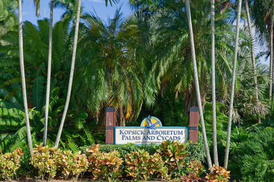 Kopsick Arboretum Palms and Cycads sign nestled in a lush tropical garden. Editorial Use Only October 10, 2026 St. Petersburg, FL USA framed by tall palm trunks, dense cycads and ornamental shrubs tha