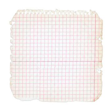 GraphPaperSheetIsolatedWhiteBackground