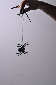 m&atilde;o com garras segurando teia de aranha 