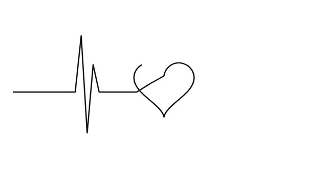 Heartbeat rhythm transforms into a heart shape with a highlighted pulse point electrocardiogram ecg cardiac cardiology