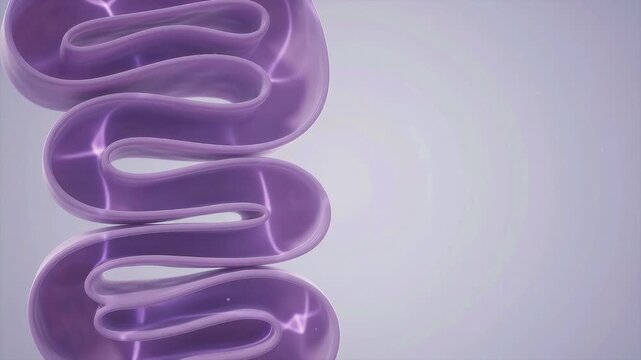 Hydrated Amethyst Mitochondrial Cristae Membrane Folds Rest