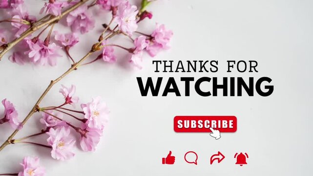 Thanks for watching youtube animation 