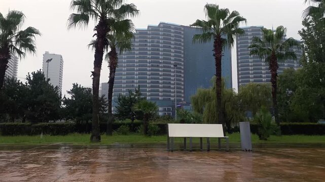 A park bench stands among palm trees and landscaped grounds in rain Batumi, offering public space footage for urban planning, park management and destination promotion across the coastal city