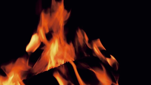 Fire Flames Burning On Black Background With Wood Close Up