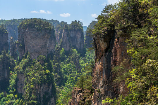 Sandstone pillars at the top of Yuanjiajie in Zhangjiajie National Forest Park on a spring day, Wulingyuan District, Zhangjiajie City, Hunan Province, China