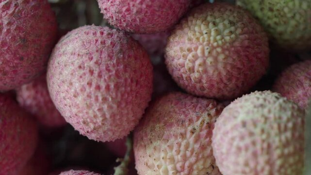 Picking ripe lychee fruit from the market in a tropical setting