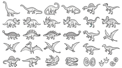 Collection of Hand-Drawn Dinosaur Illustrations © qoia
