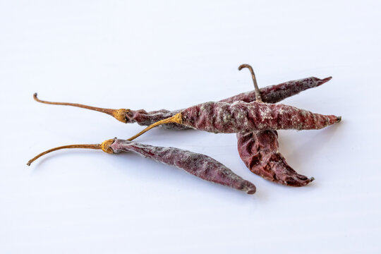 Spoiled dried red chilies covered in mold spores isolated on white background. Food spoilage and agricultural damage.