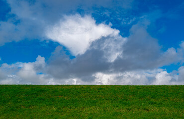 Naklejka premium Meadow meets dramatic white cumulus clouds. Open sky rises above the meadow. Meadow scenery defines peaceful rural freedom. Green grass covers the meadow horizon.