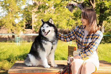 Pet ownership and companionship, happy woman petting her husky dog on a wooden bench in a sunny park during a weekend walk in nature © Pixel-Shot