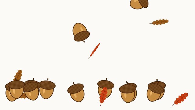 Cartoon acorns and oak leaves fall one by one, bounce and pile up along the bottom of a clean white background