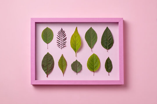 Creative minimal arrangement of leaves on bright white background with pink frame. Flat lay. Nature concept. 