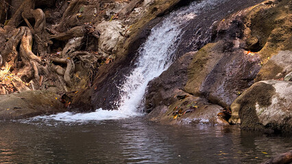 Tropical waterfall cascading over wet rocks and ancient tree roots into a tranquil jungle pond © Dohoy
