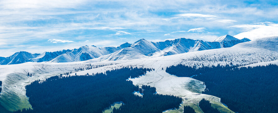 Aerial view of green meadows and spruce forests against a snow-capped mountain range under a cloudy sky in Kalajun Grassland, Ili, Xinjiang, China.