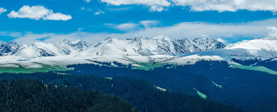 Aerial view of green meadows and spruce forests against a snow-capped mountain range under a cloudy sky in Kalajun Grassland, Ili, Xinjiang, China.