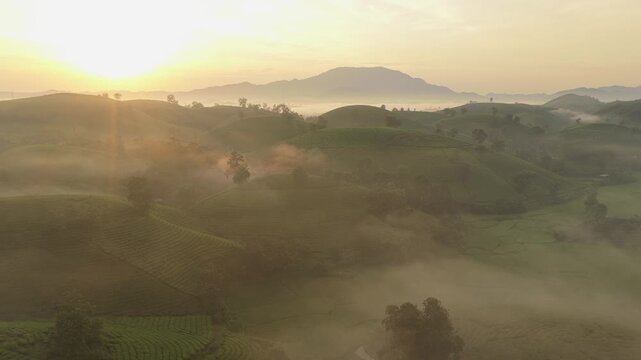 Breathtaking aerial footage of a stunning sunrise over the misty long coc tea hills. The golden light illuminates the morning fog and hills