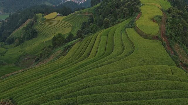 Scenic aerial view of the famous terraced rice fields in mu cang chai, vietnam. Beautiful lush green landscape during the sunrise