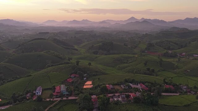 Aerial view of the beautiful long coc tea hills in vietnam during a misty sunrise, showing a small village surrounded by lush green plantations