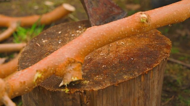 Chopping tree branches with an axe on a wooden stump close-up