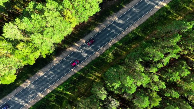 Aerial view of winding asphalt road bordered by dense green forest trees in spring conditions