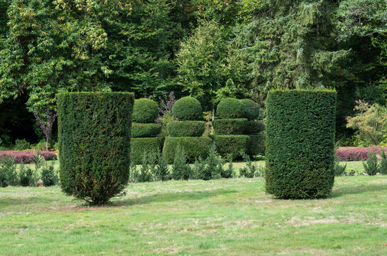 If taill&eacute;, Parc botanique de Haute Bretagne,